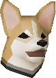 Corgi puppy