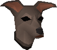 Greyhound puppy