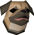 Pug puppy