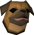 Pug puppy
