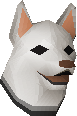Shiba puppy
