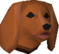 Spaniel puppy
