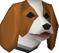 Spaniel puppy
