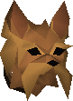 Yorkie puppy