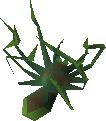 Spider carcass
