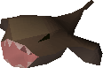 Monkfish