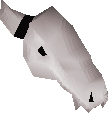 Left skull half