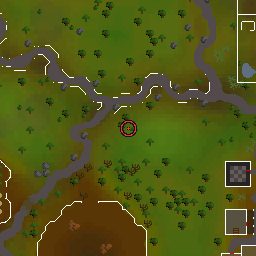 The world map around Air wizard