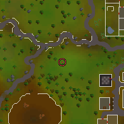 The world map around Earth wizard