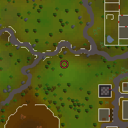 The world map around Fire wizard