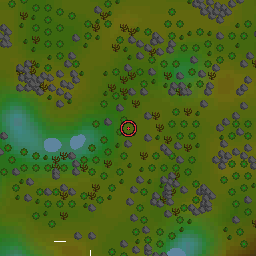 The world map around Rabbit