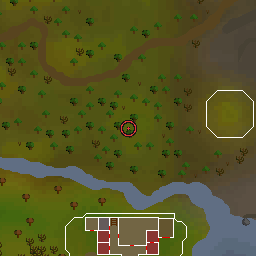 The world map around Unicorn Foal