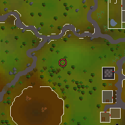 The world map around Water wizard