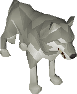 White wolf