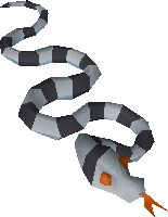 Sea Snake Young