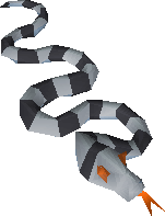 Sea Snake Hatchling