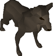 Wild dog