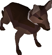 Guard dog