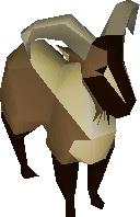 Billy Goat