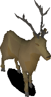 Stag