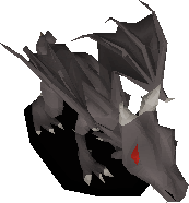 Baby black dragon