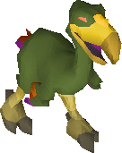 Terrorbird