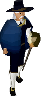 Saradomin priest
