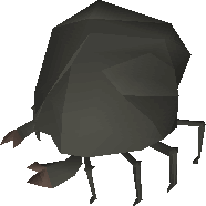Giant Rock Crab