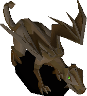 Bronze dragon
