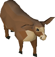 Cow calf