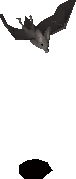 Bat