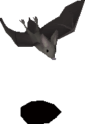 Giant bat