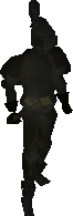 Shadow warrior