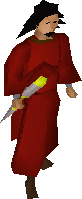 Zamorak wizard