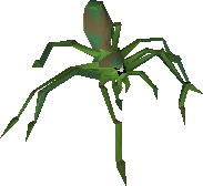 Jungle spider