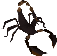 Pit Scorpion