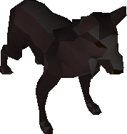 Shadow Hound