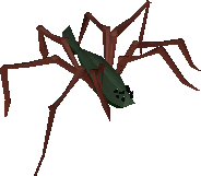 Spidine