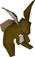 Bunny