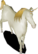 Unicorn Foal