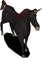Black unicorn Foal