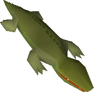 Crocodile