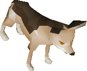 Jackal