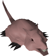 Brine rat