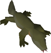 Lizard