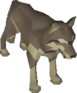 Desert Wolf