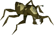 Cave bug
