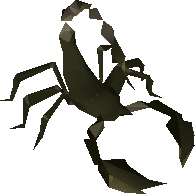 Grave scorpion