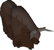 Yak