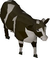 Cow